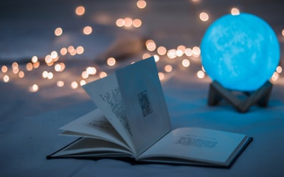 纪录片《地球脉动》第三季精彩画面，野生动物